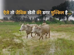 CM साहब! जैविक खेती की 'जान' निकाल दी अधिकारियों ने, अनूपपुर में हुआ करोड़ों का घोटाला