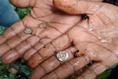 Women Labourers Discover 'Treasure Trove' While Excavating Rainwater Harvesting Pit Women Labourers Discover 'Treasure Trove' While Excavating Rainwater Harvesting Pit