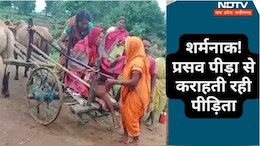शर्मनाक! प्रसव पीड़ा से कराहती रही महिला, नहीं मिली सुविधा तो बैलगाड़ी से ऐसे पहुंचाया गया अस्पताल