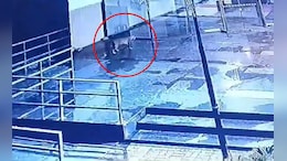 1 बिबट्या, 3 दिवस, 6 पथकं, 100 कर्मचारी, संभाजीनगरात दहशत