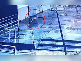 1 बिबट्या, 3 दिवस, 6 पथकं, 100 कर्मचारी, संभाजीनगरात दहशत 1 बिबट्या, 3 दिवस, 6 पथकं, 100 कर्मचारी, संभाजीनगरात दहशत