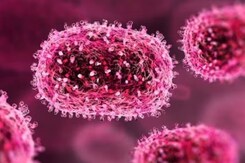 Chandipura Virus: चांदीपुरा वायरस की चपेट में आया MP, जानिए कितना खतरनाक? Chandipura Virus: चांदीपुरा वायरस की चपेट में आया MP, जानिए कितना खतरनाक?