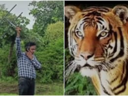 Rajasthan: लापता टाइगर को ढूंढने जंगल छान रहा वन विभाग, 3 दिन से जारी है बाघ एमटी-5 की तलाश Rajasthan: लापता टाइगर को ढूंढने जंगल छान रहा वन विभाग, 3 दिन से जारी है बाघ एमटी-5 की तलाश