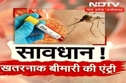 Zika Virus in MP: सावधान! बरसात में हो जाए सतर्क, एमपी में खतरनाक वायरस की एंट्री Zika Virus in MP: सावधान! बरसात में हो जाए सतर्क, एमपी में खतरनाक वायरस की एंट्री