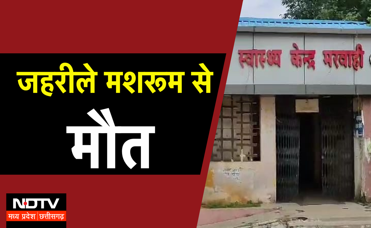 CG News: मशरूम की सब्जी खाने से एक की मौत, आठ बीमार, Health Expert से जानिए जहरीले मशरूम की पहचान