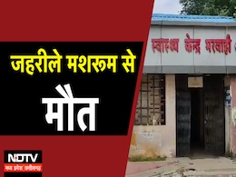 CG News: मशरूम की सब्जी खाने से एक की मौत, आठ बीमार, Health Expert से जानिए जहरीले मशरूम की पहचान CG News: मशरूम की सब्जी खाने से एक की मौत, आठ बीमार, Health Expert से जानिए जहरीले मशरूम की पहचान