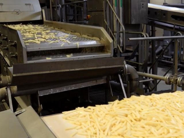 Explained: India's Journey From A French Fries Importer To Exporter In Less Than 10 Years