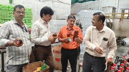 मिलावट के खिलाफ अब तक की सबसे बड़ी कार्रवाई, 53 हजार लीटर सरसों का तेल जब्त&nbsp;