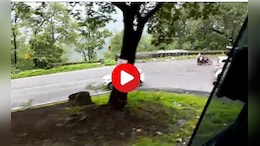 मुलांच्या किंकाळ्या, पर्यटकांचा आक्रोश; सापुतारा बस अपघाताचा हादरवणारा Live Video