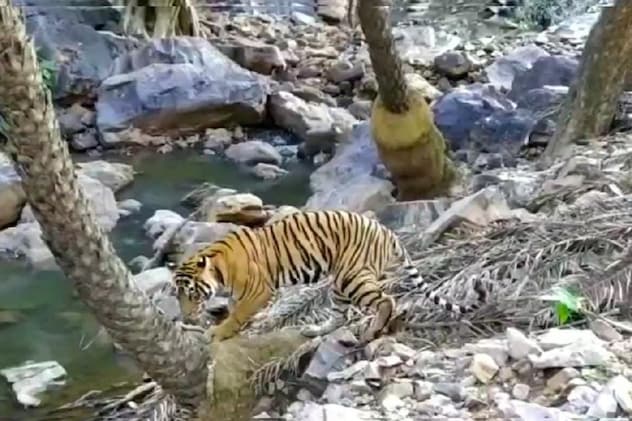 मानसून सीजन में रहता है ये जोन बंद मानसून सीजन में रहता है ये जोन बंद