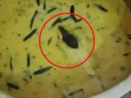 मेस में परोसी गई चटनी में तैरता दिखा जिंदा चूहा, गुस्से से बौखलाए स्टूडेंट्स, सोशल मीडिया पर हाइजीन को लेकर छिड़ी बहस मेस में परोसी गई चटनी में तैरता दिखा जिंदा चूहा, गुस्से से बौखलाए स्टूडेंट्स, सोशल मीडिया पर हाइजीन को लेकर छिड़ी बहस