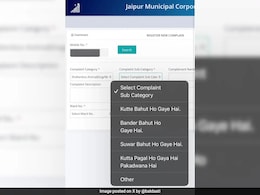 जयपुर नगर निगम की वेबसाइट पर मजेदार ऑप्शन्स देख लोटपोट हुए यूजर्स, वायरल हुआ पोस्ट