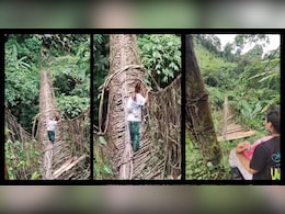 मां जैसी कोई नहीं! बच्चे को पीठ पर बांधा, फिर पार किया लकड़ी का टूटा ब्रीज; VIDEO खड़े कर देगा रौंगटे मां जैसी कोई नहीं! बच्चे को पीठ पर बांधा, फिर पार किया लकड़ी का टूटा ब्रीज; VIDEO खड़े कर देगा रौंगटे