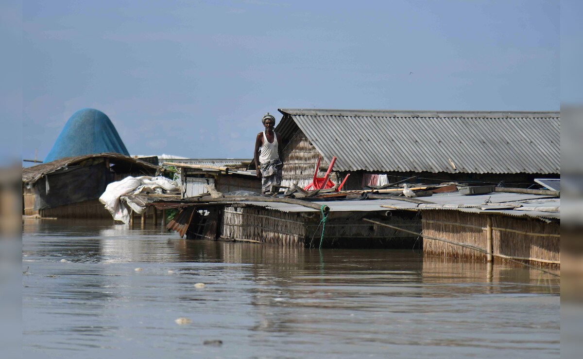 Latest and Breaking News on NDTV