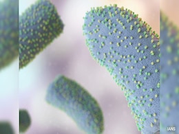 Gujarat Reports First Death Due To Chandipura Virus As Girl Dies Of Infection Gujarat Reports First Death Due To Chandipura Virus As Girl Dies Of Infection