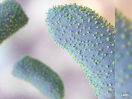 गुजरात में तेजी से फैल रहा चादीपुरा वायरल, अलर्ट में सरकार गुजरात में तेजी से फैल रहा चादीपुरा वायरल, अलर्ट में सरकार