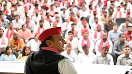 Akhilesh Yadav Calls UP Deputy Chief Minister KP Maurya "<i> Mohra</i>". He Hits Back