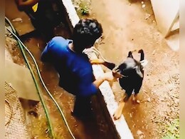 सावधान: Dog के साथ इस तरह की हरकत बढ़ा सकती है मुश्किल, दिल दहलाने वाला वीडियो वायरल