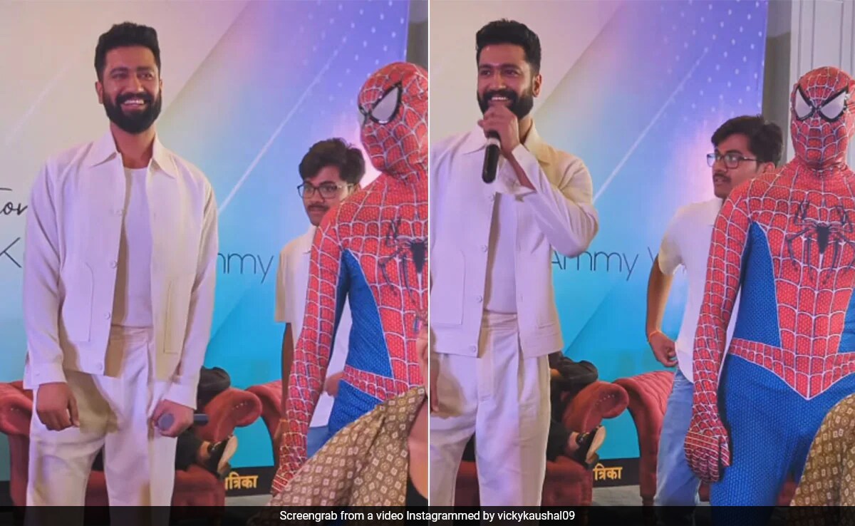 On Vicky Kaushal's Dance Video, Brother Sunny's Spider-Man Comment Eclipsed Everything