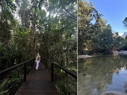 Like Phoebe Dynevor Living The "Aussie Dream" In Queensland, 5 Must-Do Things In The Daintree Rainforest