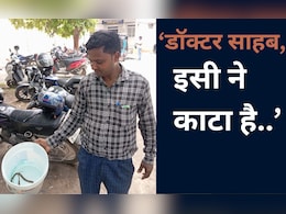 बिहार: पत्नी के साथ सांप लेकर अस्पताल पहुंचा पति, कहा- डॉक्टर साहब इसी ने काटा है, प्लीज बचा लीजिए बिहार: पत्नी के साथ सांप लेकर अस्पताल पहुंचा पति, कहा- डॉक्टर साहब इसी ने काटा है, प्लीज बचा लीजिए