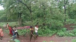 सरकारी दावों की पोल खोलती&nbsp;तस्वीर, MP में खटिया से एम्बुलेंस तक पहुंची गर्भवती