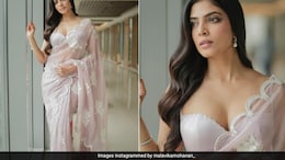 Malavika Mohanan's Pastel Pink <i>Saree</i> Matched Perfectly With Her Charming Elegance