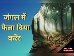 MP News: वन माफियाओं के हौसले छू रहे आसमान! बिजली करंट से किया वनकर्मी पर हमला MP News: वन माफियाओं के हौसले छू रहे आसमान! बिजली करंट से किया वनकर्मी पर हमला