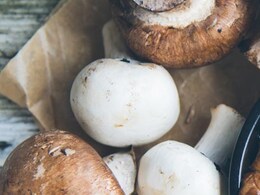 वजन घटाना है और इम्यूनिटी मजबूत करनी है तो बस यह सफेद सब्जी खाना कर दें शुरू, सब तकलीफें हो जाएंगी दूर वजन घटाना है और इम्यूनिटी मजबूत करनी है तो बस यह सफेद सब्जी खाना कर दें शुरू, सब तकलीफें हो जाएंगी दूर