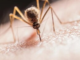 कर्नाटक में डेंगू का कहर, अब तक मिले 9 हजार से ज्यादा मरीज, इतने लोगों की गई जान कर्नाटक में डेंगू का कहर, अब तक मिले 9 हजार से ज्यादा मरीज, इतने लोगों की गई जान