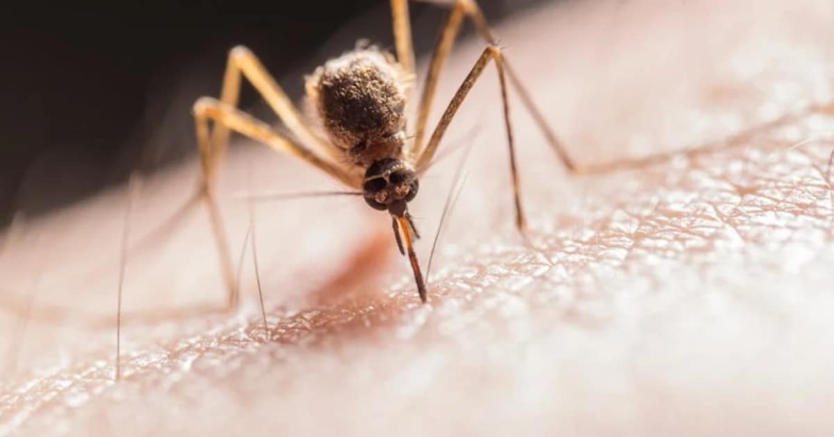Dengue cases spike in Delhi