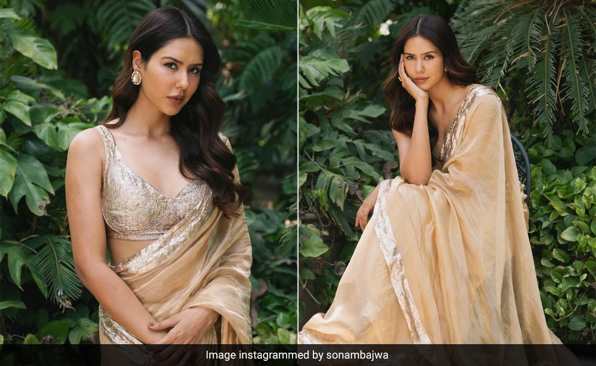 With Sonam Bajwa In A Glistening Tissue <i>Saree</i>, Golden Hour Paid An Hourly Visit