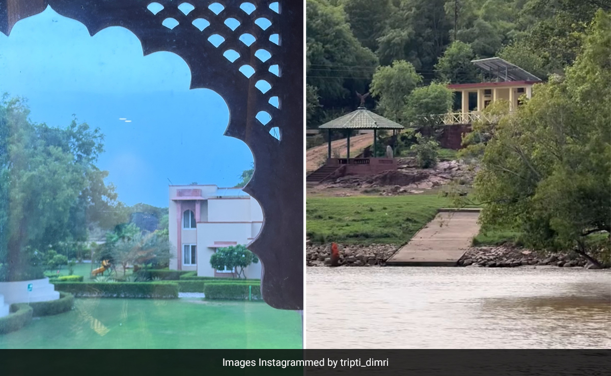 Follow Triptii Dimri's Trail And Visit Orchha In Madhya Pradesh For These 5 Experiences