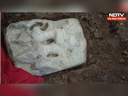 Dhar: बच्चों को खेलने के दौरान मिली थी मूर्ति, अब पुरातत्व विभाग ने लोगों के इस दावे को किया खारिज