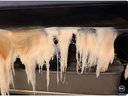 "Came Back To This": Woman In Shock Over Strange Sight Inside Oven. Watch The Video "Came Back To This": Woman In Shock Over Strange Sight Inside Oven. Watch The Video