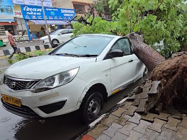 Gujarat: Trees Uprooted, Roads Blocked, Cars Damaged Due To Heavy Rainfall In Ahmedabad