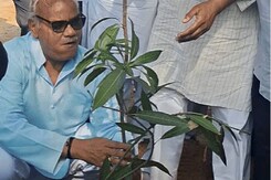 पौधारोपण करने वाले टीचर्स को  ट्रांसफर में होगा फायदा: दिलावर