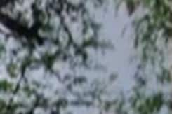 Madhya Pradesh के इन 'बीमार' स्कूलों में कैसे बनेगा भविष्य?