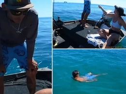 गर्लफ्रेंड ने मांगा फोन का पासवर्ड, तो लड़के ने लगा दी समुद्र में छलांग, पुलिस ने पूछा तो बोला तैरकर घर चला जाऊंगा! गर्लफ्रेंड ने मांगा फोन का पासवर्ड, तो लड़के ने लगा दी समुद्र में छलांग, पुलिस ने पूछा तो बोला तैरकर घर चला जाऊंगा!