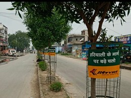 Rajasthan News: इतनी बड़ी गड़बड़… करना था वृक्षारोपण, लगा दिए खतरनाक विदेशी पौधे