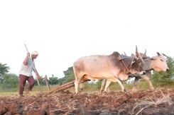 Jabalpur Farmers Seek Solutions For Fertilizer Prices And New Agriculture Policy Jabalpur Farmers Seek Solutions For Fertilizer Prices And New Agriculture Policy