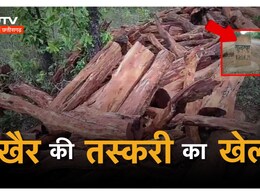 छत्तीसगढ़ में 'खैर' की तस्करी ! जानिए इन लकड़ियों में ऐसा क्या है खास ? छत्तीसगढ़ में 'खैर' की तस्करी ! जानिए इन लकड़ियों में ऐसा क्या है खास ?
