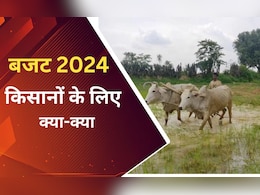 5 राज्यों में नए किसान क्रेडिट कार्ड, नेचुरल फार्मिंग पर फोकस, जानिए बजट में किसानों के लिए और क्या-क्या 5 राज्यों में नए किसान क्रेडिट कार्ड, नेचुरल फार्मिंग पर फोकस, जानिए बजट में किसानों के लिए और क्या-क्या