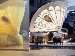 Watch: Man Creates Viral Architectural Designs Using Common Foods And We Can't Stop Watching Watch: Man Creates Viral Architectural Designs Using Common Foods And We Can't Stop Watching