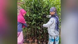 Adani Group To Give 11 Lakh Samplings For Indore As Part Of Its 100 Million Trees Pledge
