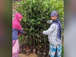 Adani Group To Give 11 Lakh Samplings For Indore As Part Of Its 100 Million Trees Pledge Adani Group To Give 11 Lakh Samplings For Indore As Part Of Its 100 Million Trees Pledge