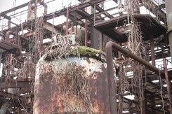 Bhopal Gas Leak Tragedy: भोपाल का ज़हरीला कचरा इंदौर में लाएगा नया संकट