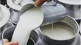 Milk Price Hike: फिर बढ़ गए दूध-दही के दाम, अब 1 लीटर के लिए चुकाने होंगे इतने रुपये
