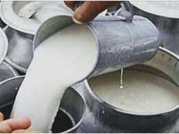 Milk Price Hike: फिर बढ़ गए दूध-दही के दाम, अब 1 लीटर के लिए चुकाने होंगे इतने रुपये
