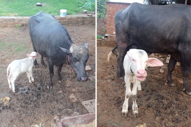 Latest and Breaking News on NDTV Latest and Breaking News on NDTV